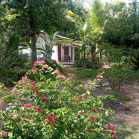 Sanjana Home Stay هاباران المظهر الخارجي الصورة