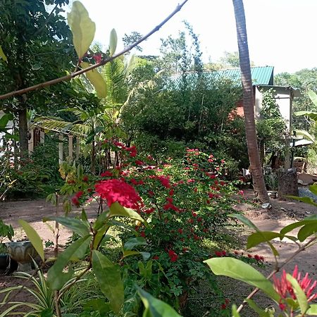 Sanjana Home Stay هاباران المظهر الخارجي الصورة