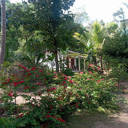 Sanjana Home Stay هاباران المظهر الخارجي الصورة