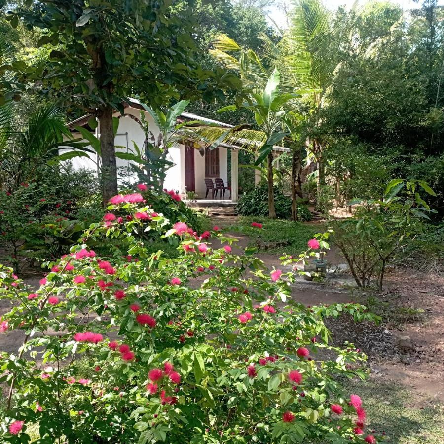 Sanjana Home Stay هاباران المظهر الخارجي الصورة