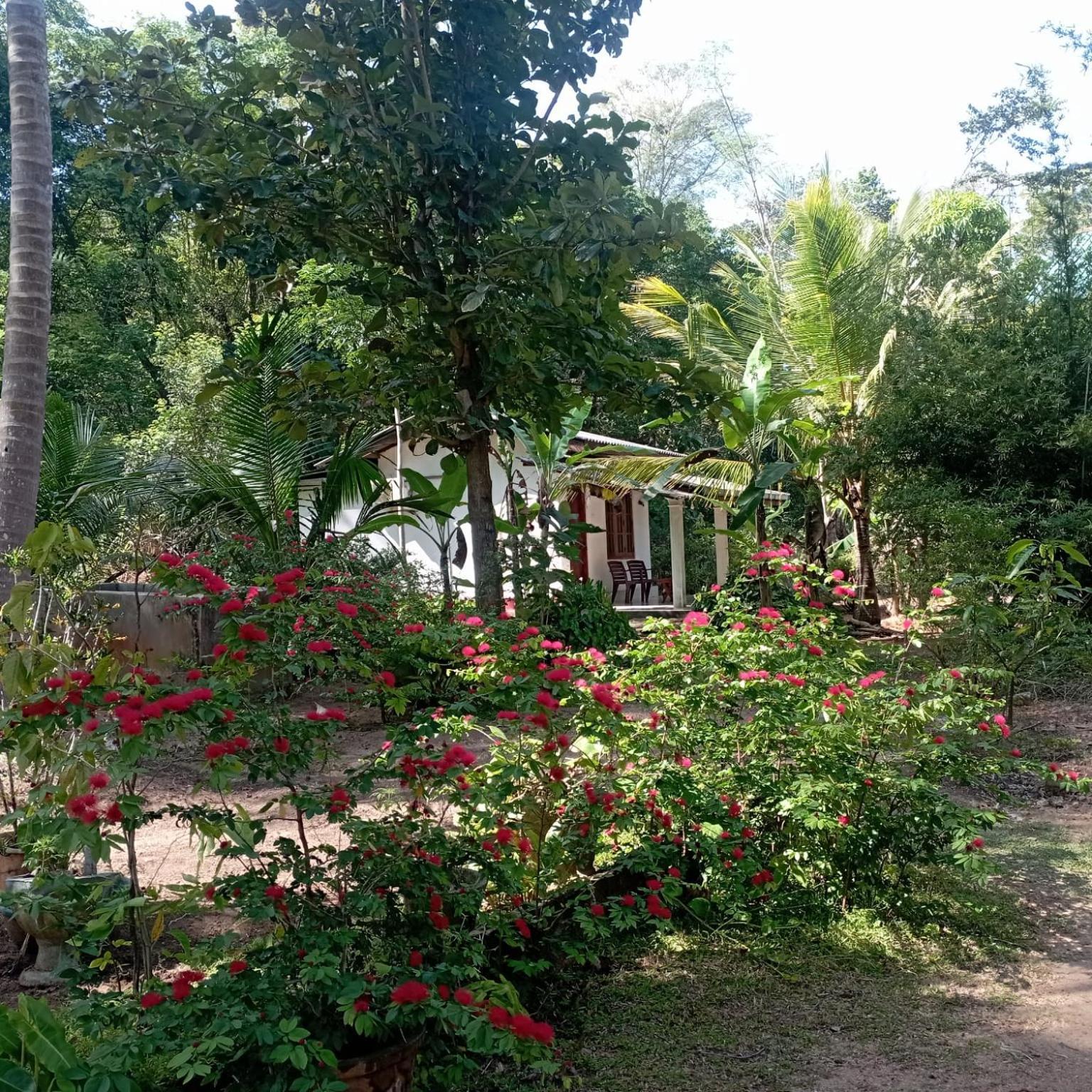 Sanjana Home Stay هاباران المظهر الخارجي الصورة
