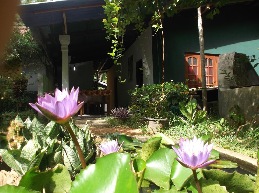 Sanjana Home Stay هاباران المظهر الخارجي الصورة