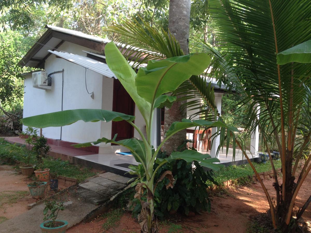 Sanjana Home Stay هاباران المظهر الخارجي الصورة